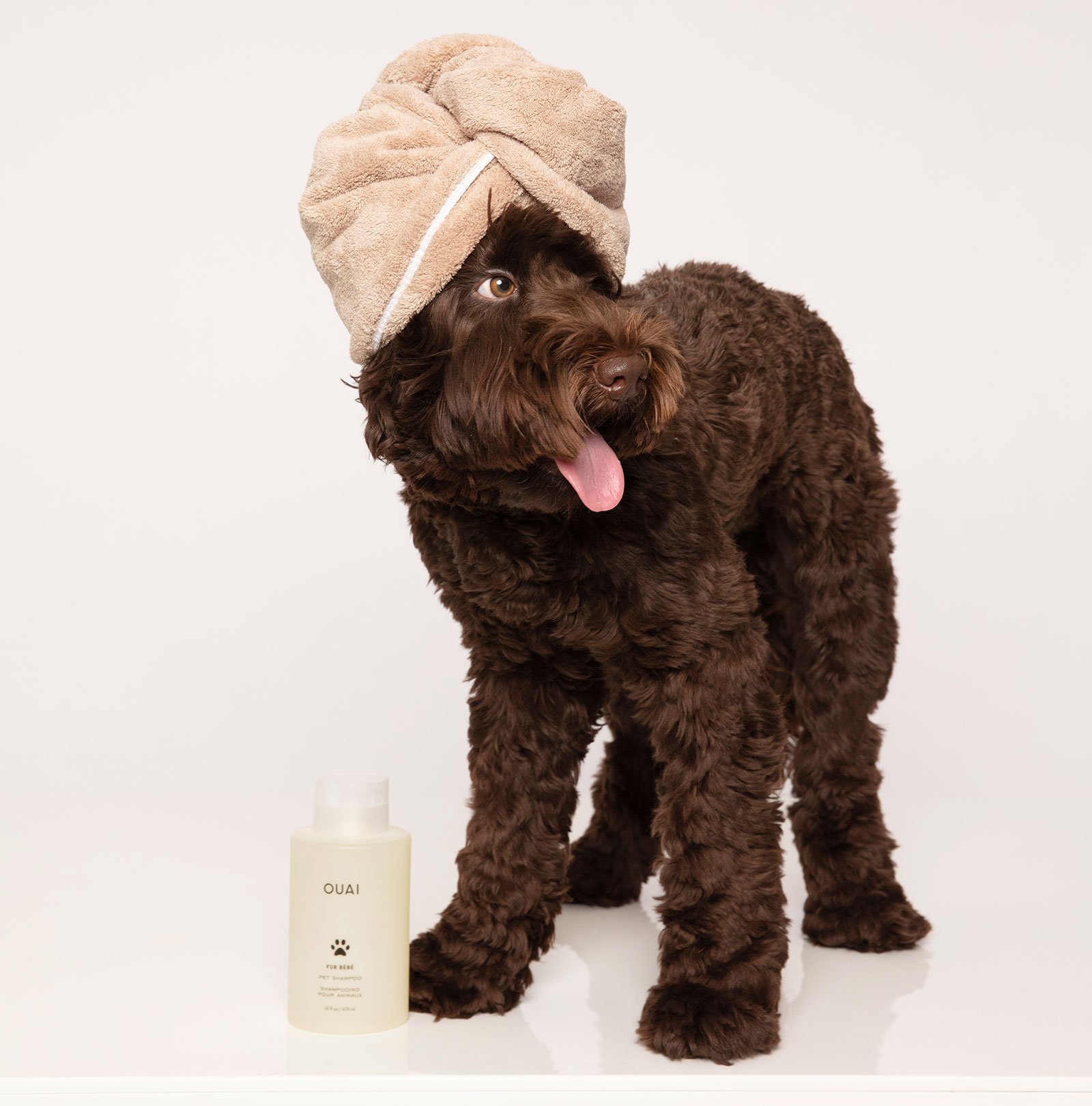 Fur Bébé